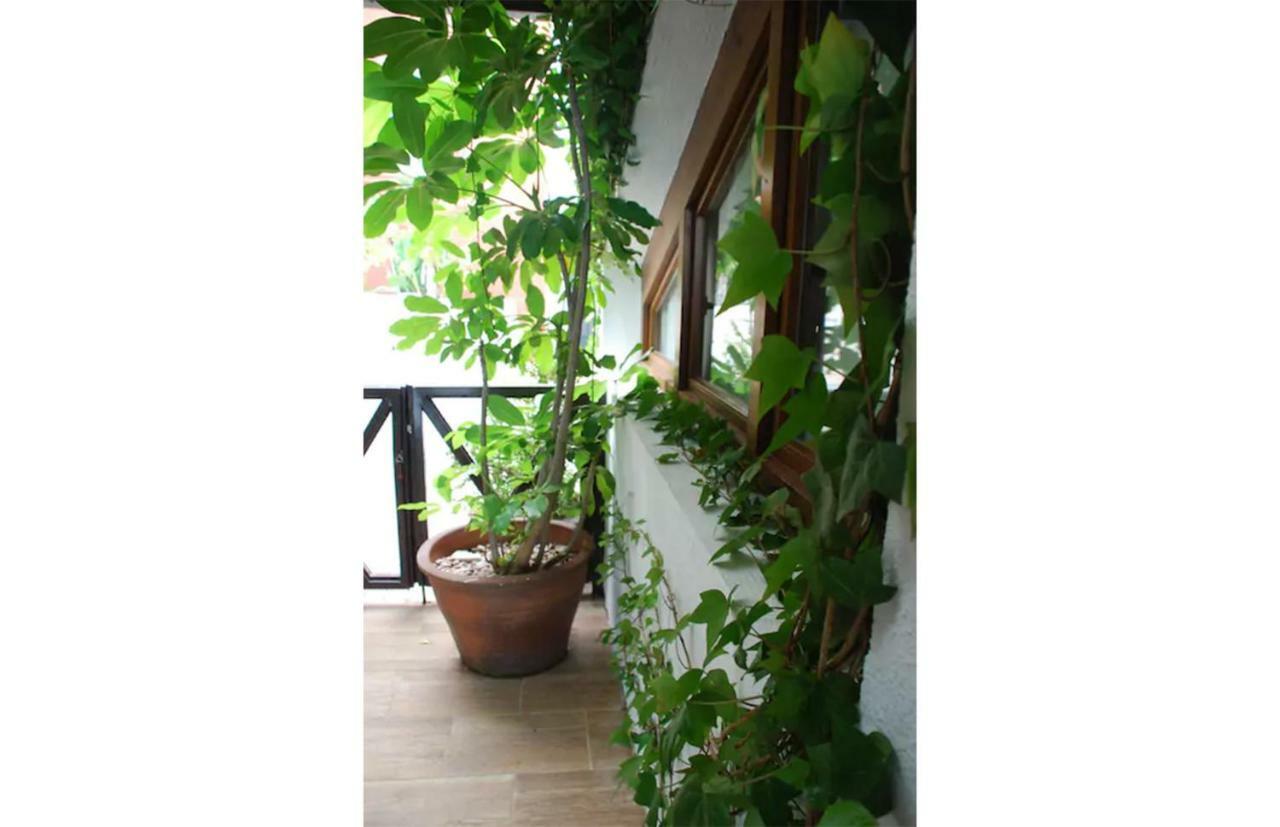 Casa Del Mediterraneo 拉海瑞德拉 外观 照片