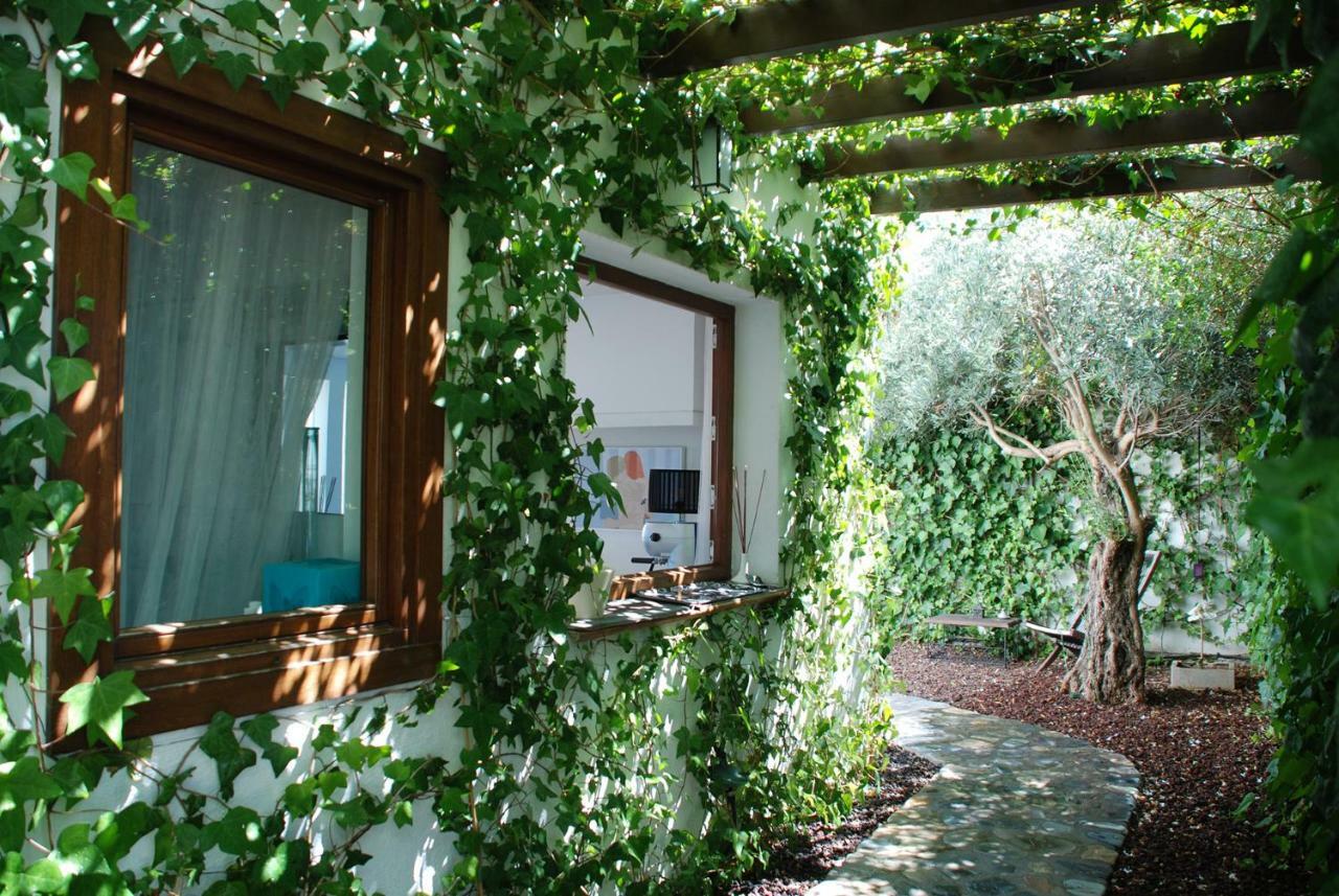 Casa Del Mediterraneo 拉海瑞德拉 外观 照片